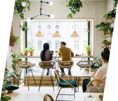 Spațiu comercial contemporan: tejghea din lemn, plante și lumină naturală.
